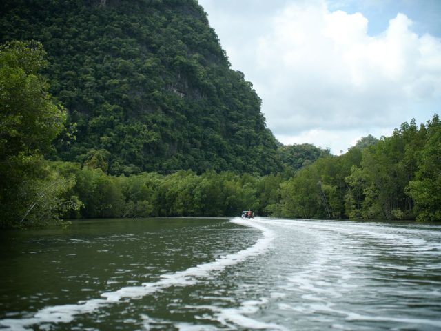 Kilim Geoforest Park, Langkawi, Kedah, Malaysia