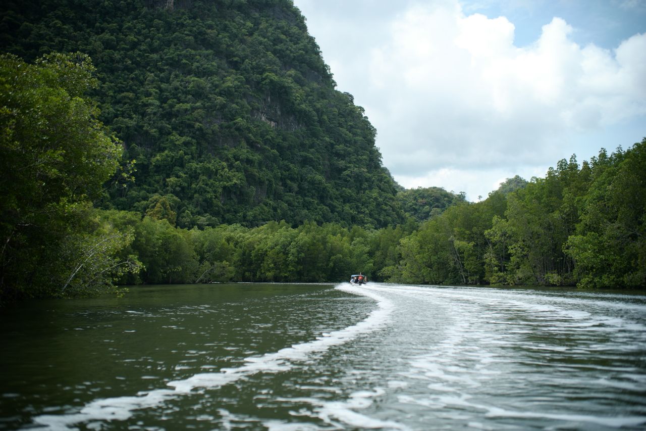Kilim Geoforest Park, Langkawi, Kedah, Malaysia