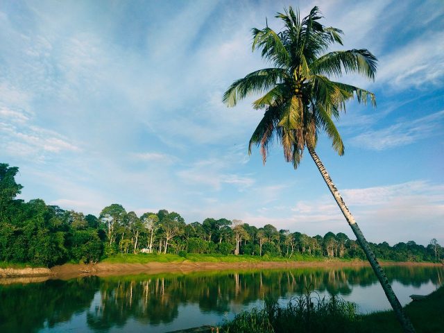 Kinabatangan River, Sandakan, Sabah, Malaysia