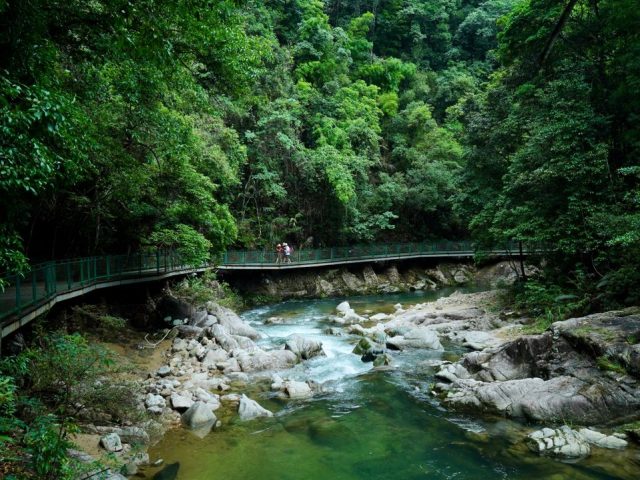 Taman Negara Canopy Walkway, Taman Negara, Pahang, Malaysia
